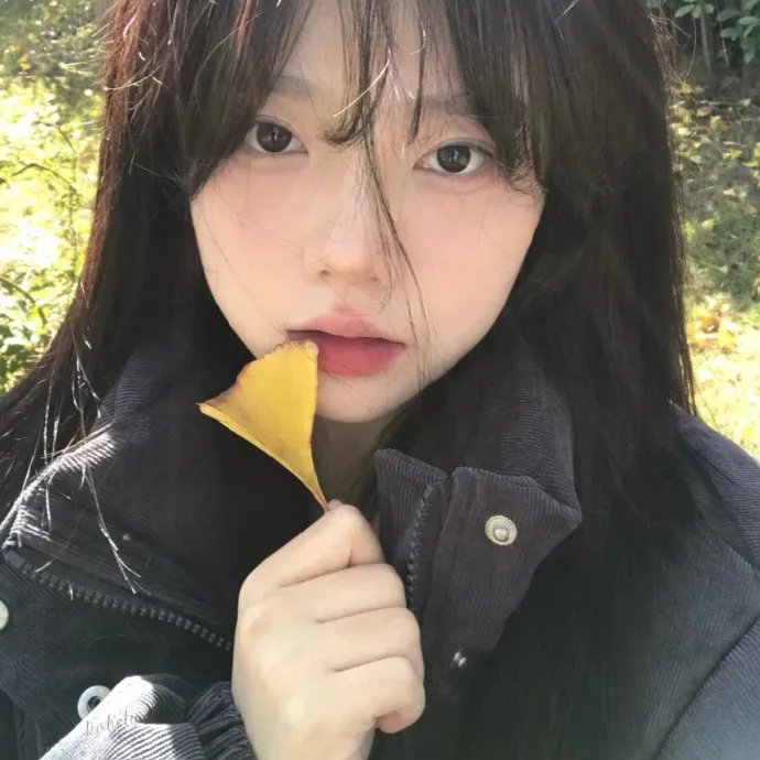 沉香如屑·沉香重华